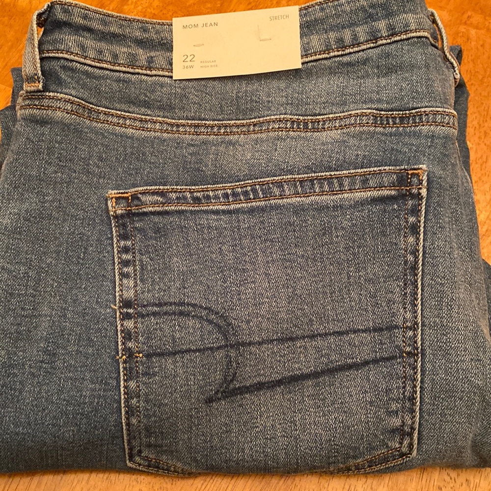 NWT American Eagle Mom High Rise Jeans 22 Regular